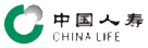 中国人寿保险股份有限公司文档审计项目