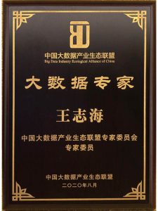 大数据专家